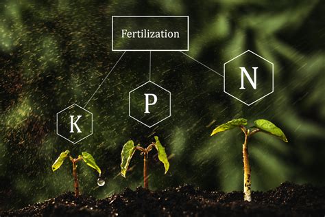  Nitrogênio: O Ícone Industrial e o Segredo por Trás dos Fertilizantes Mais Eficazes!