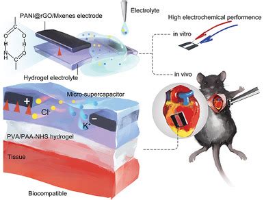  Vitreous Carbon – Uma Maravilha Biocompatível para Implantes Dentários de Alto Desempenho?